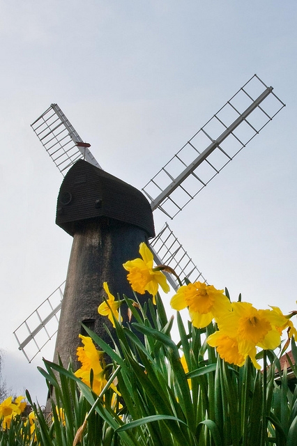 windmill